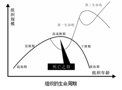 企業(yè)為什么要做管理升級