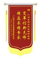 白云電氣集團(tuán)贈(zèng)送正睿咨詢變革創(chuàng)新先鋒，精益求精專家錦旗